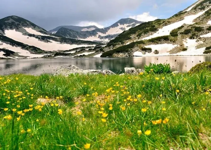 Next To The Lift Banszko